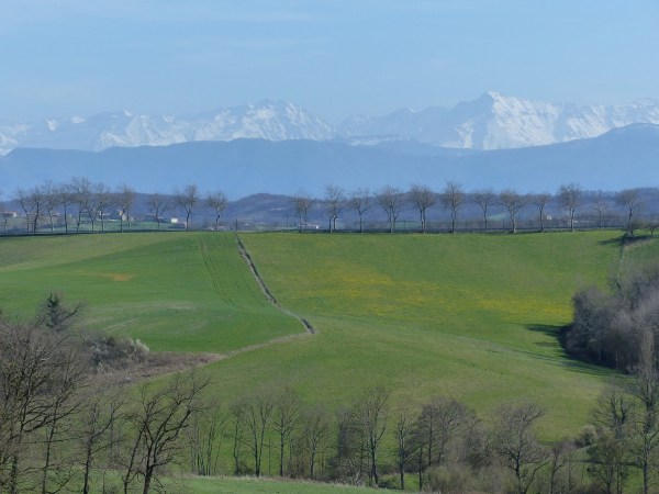 P1000985.JPG P1000985