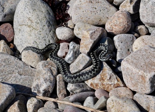 PMsV9oRxQuKa9XXZxU6wUg thumb a025