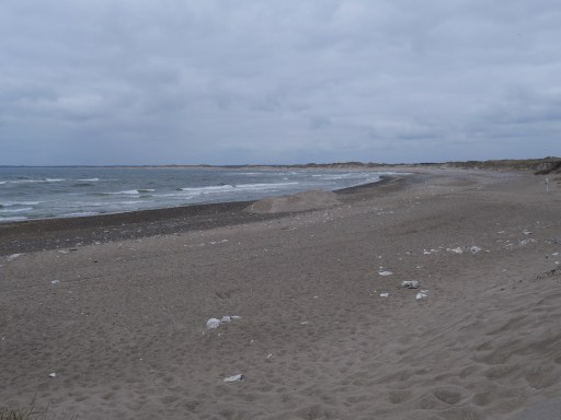 UNADJUSTEDNONRAW thumb 9ed3