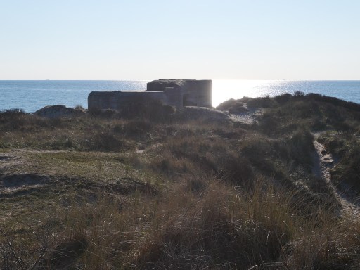 UNADJUSTEDNONRAW thumb 9edd