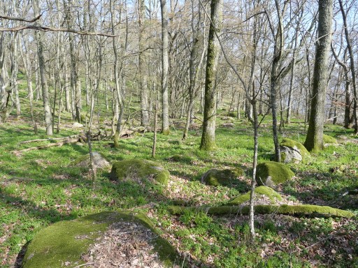 UNADJUSTEDNONRAW thumb 9ff2