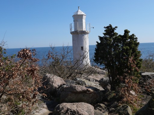 UNADJUSTEDNONRAW thumb a013