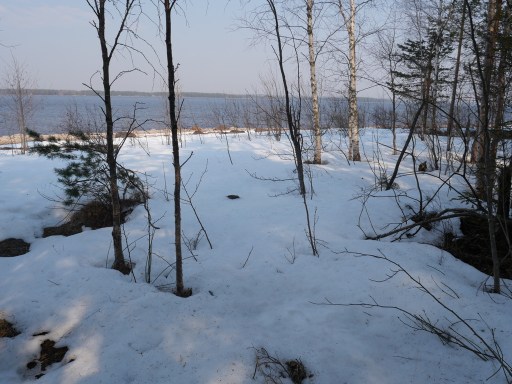 UNADJUSTEDNONRAW thumb a122