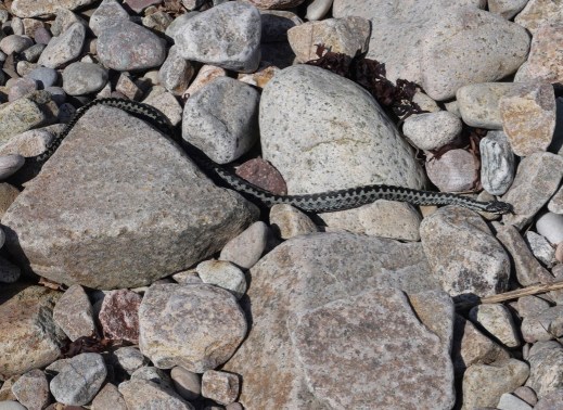 X1r5hTF QFqBsxyVFZ1zTQ thumb a023