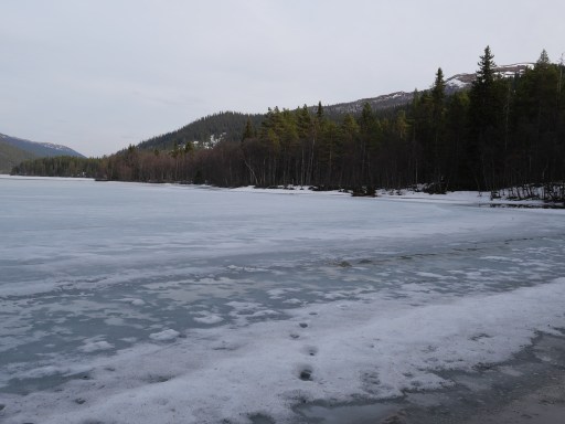 UNADJUSTEDNONRAW thumb a264