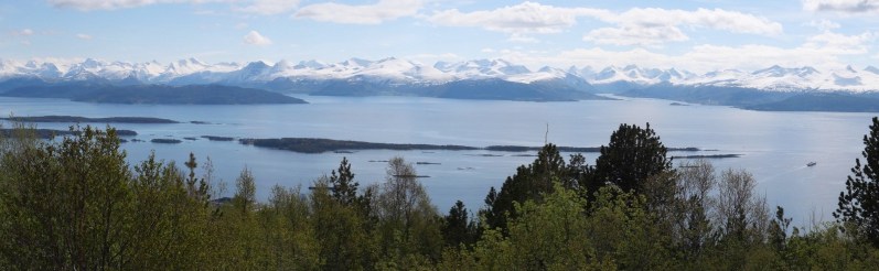 UNADJUSTEDNONRAW thumb a390