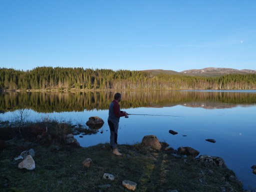 UNADJUSTEDNONRAW thumb a454